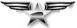 América Militar: información sobre defensa, seguridad y geopolítica